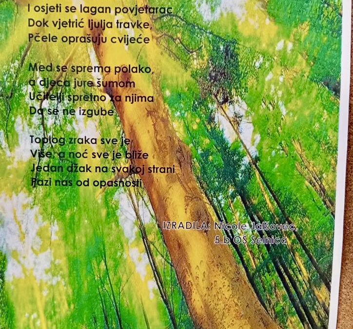 “Čudesni vodeni svijet mog zavičaja” – zbornik radova